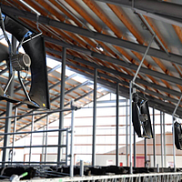 Close-up of an installed Lubratec axial fan in a cow shed