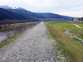 Dike sealed and overgrown with Incomat Crib on the bank of a river