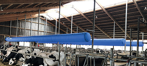 Lubratec Tube Cool A blue cooling hose is attached above the cattle for cooling
