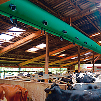 Lubratec Tube Cool as a tube ventilation system on the ceiling of a cow barn