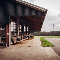 View of a cowshed where several cows are eating with reference to Lubratec SmartBox