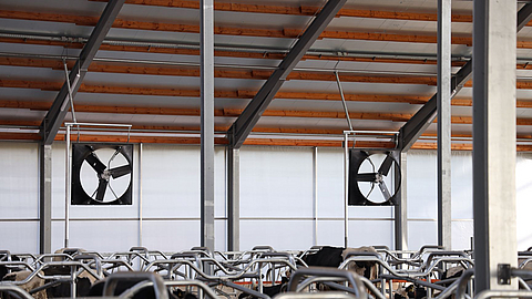 Two built-in Lubratec axial fans in a cow shed