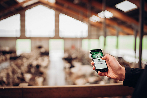 Person holding cell phone with Lubratec SmartApp started in the cowshed for monitoring the barn climate