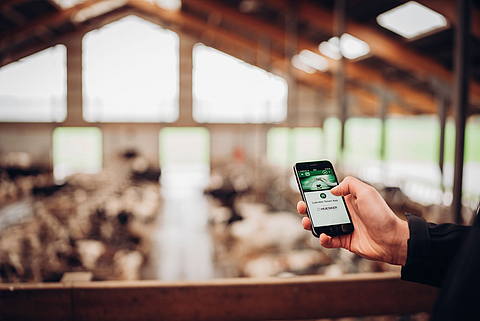 Person holding cell phone with Lubratec SmartApp started in the cowshed for monitoring the barn climate