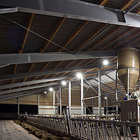 Fenced-in dairy barn with installed LED lights as a light source for the animals at night