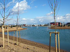 Sealed and water-filled stormwater retention basin