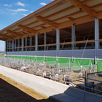 Wrap around ventilation for open stall housing of fattening pigs