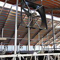 Bottom view of a built-in axial fan above the enclosure of the cow barn